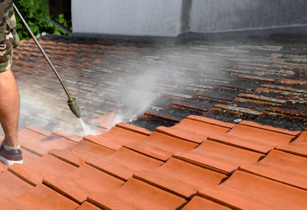 Best Pressure Washing Driveway  in Ainsworth, NE